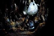 La famosa escena de la "bola de piedra" que inicia la película